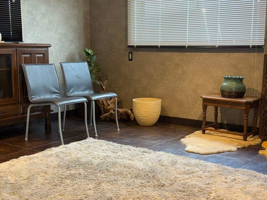 ①リーンロゼ　ligne roset ブラック　レザーチェア　2脚セット　YZ