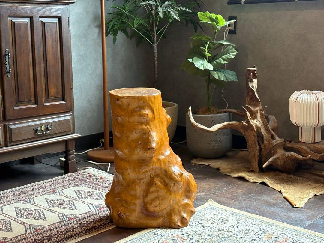 屋久杉　こぶ材　ウッド　オブジェ　丸太　無垢材　インテリア　ディスプレイ家具　G