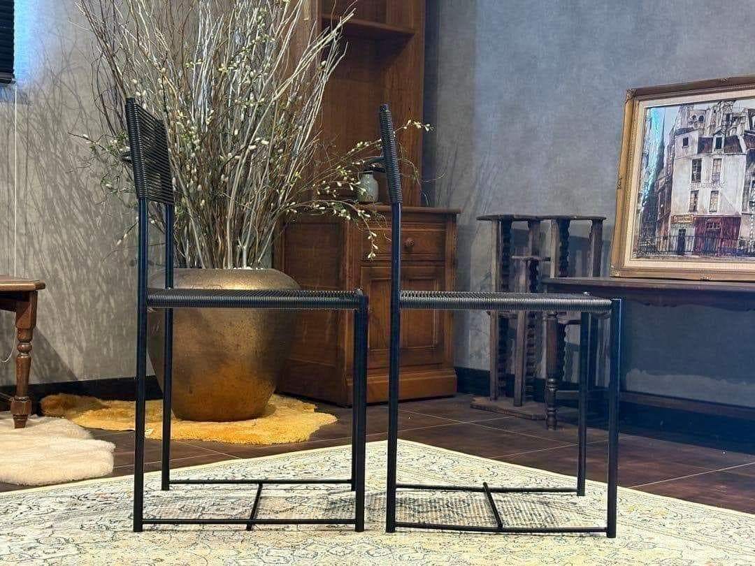 ②Cassina カッシーナ Alias アリアス ダイニングチェア nG