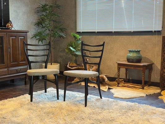 希少　ネオウッド　フランスベッド　チェア　ブラック　モダン　洋風　フランス　nR