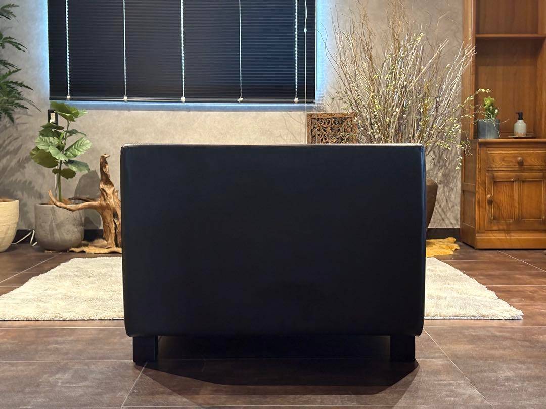 カトリーヌ・メミ　ルーデトゥルノン　カッシーナ　2人掛けエクストラワイド　IR