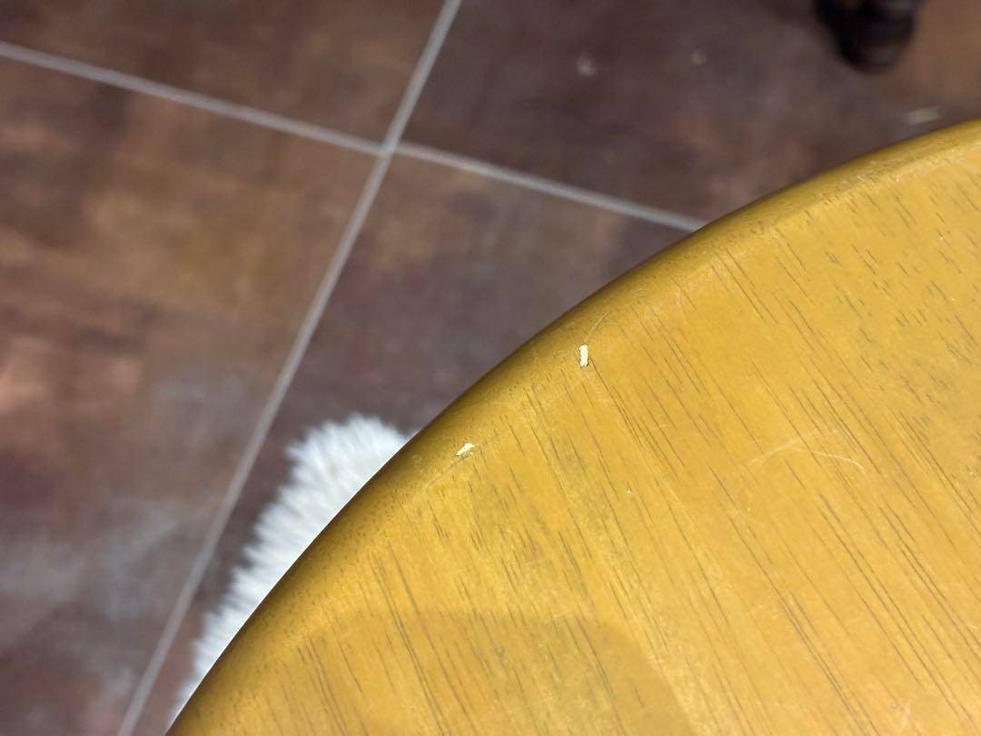 マルニ　ナチュラル　センターテーブル　ローテーブル　ラウンドテーブル　SH