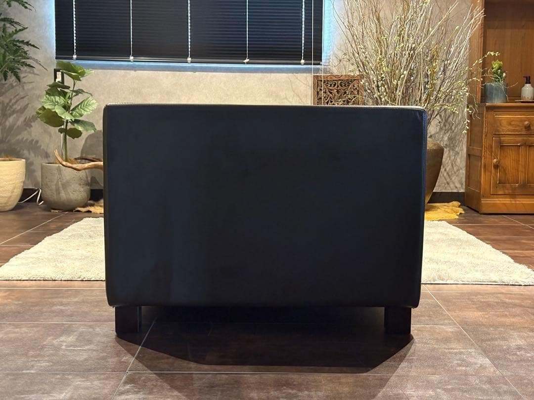 カトリーヌ・メミ　ルーデトゥルノン　カッシーナ　2人掛けエクストラワイド　IR